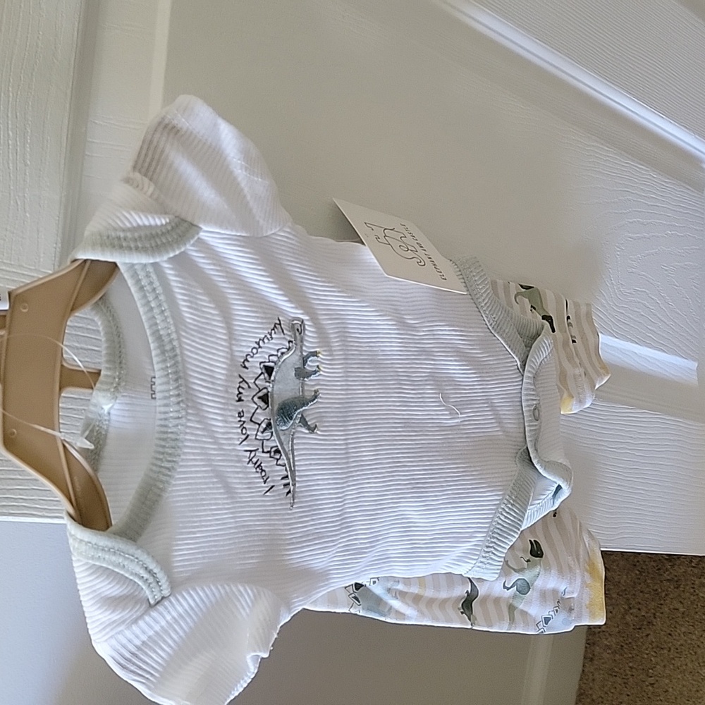 Elephant and Castle 2-piece (Onesie and Pants)
